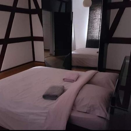 Spacious Appartement Colmar 2 Ngoại thất bức ảnh