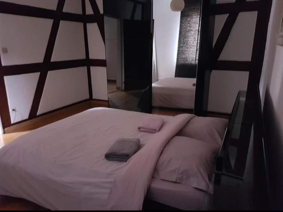 Spacious Appartement Colmar 2 Ngoại thất bức ảnh